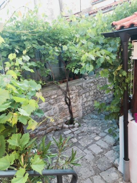 Apartment Krk Centar Krk Town