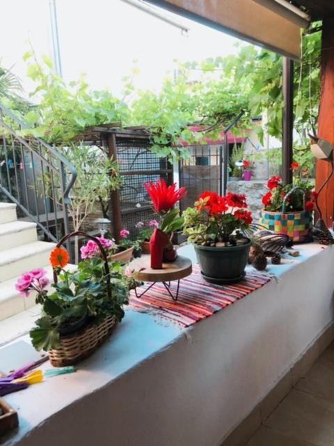 Krk Centar Apartment *