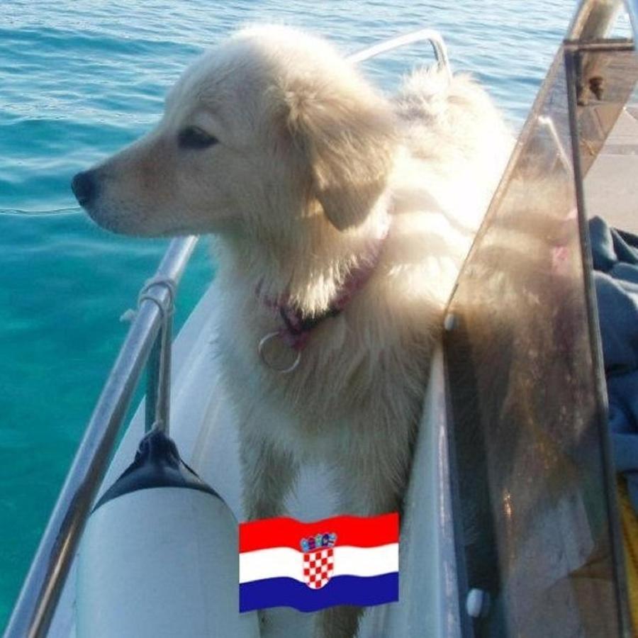 Krk Centar *