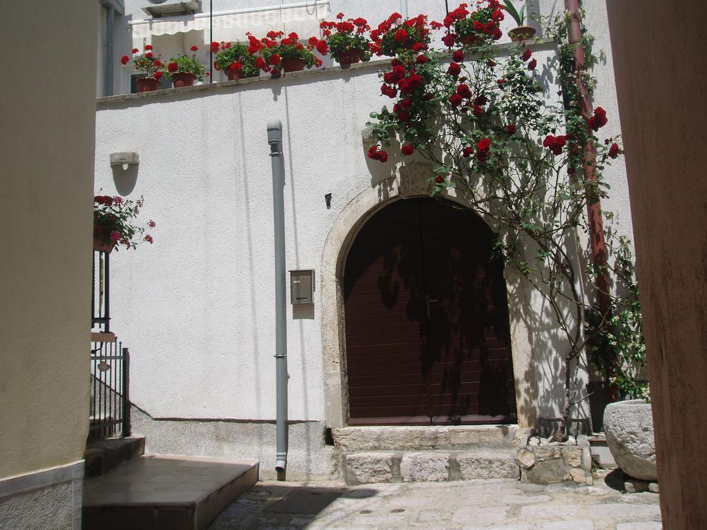 Krk Centar *